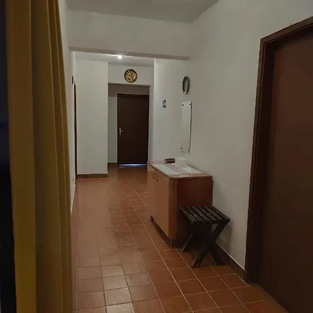 Stić